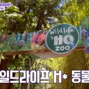 라이프25시 이미지