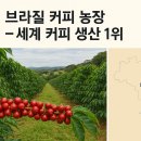 세계로관광농원 Daum카페