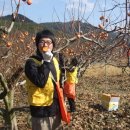 진영농장 이미지