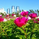 장수면분회경로당 이미지