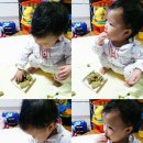 명륜자연유치원 이미지