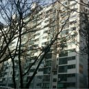 월곡동8 이미지