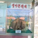 야콘냉면본가집 이미지