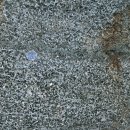 우래골 대추나무 농원 이미지