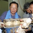 조성봉농장 이미지