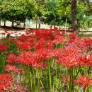 본산공원 이미지