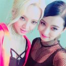 보라네 스포츠조선
