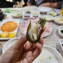 칼맛나는푸짐한횟집 | 부산 대방어 맛집 부산대 또또간집 칼맛나는푸짐한횟집
