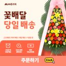 화환배달 저렴한 곳 이미지