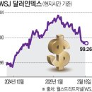 트럼프 리스크에 힘 잃는 달러 [트럼프 쇼크 가시화] 이미지