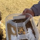 쌍둥이농장 | [내돈내산] 강릉 아기랑 가볼만한 곳 옥계 쌍둥이 동물농장 돌아기 4세 남아 후기