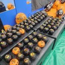 용인대힘찬나래태권도 이미지