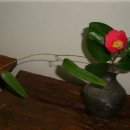 일기일회 이미지