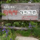 곰배령에버그린