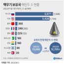 배짱오락 이미지