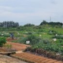 선정자농장 이미지