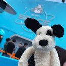 댄싱도그 | 젤리캣 팝업 예약 &amp; 워크인 현장 후기, 성수 팝업스토어 키링