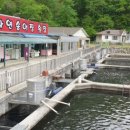 영월동강라메종펜션 이미지