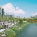 동탄호수공원 이미지