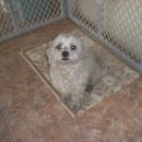 청운동물병원 이미지