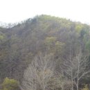 내미로리 이미지