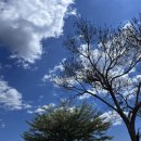 장창주농장 | 달랏 한달살기_아이랑 가기 좋은 【몽고랜드】