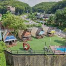 위드펫(with pet) 이미지