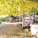 캠핑스마일 이미지