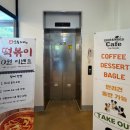 동탄 애견카페 아이언앤우드 후기 | 2동탄 신상 노키즈존 애견카페