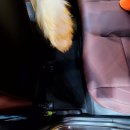 명성카닥터 이미지