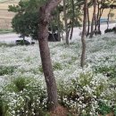 군서공원 이미지