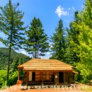 잣향기푸른마을 이미지