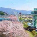 소백산자락길 제7코스 이미지