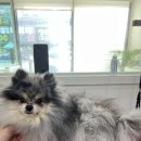 두루몽실 이미지