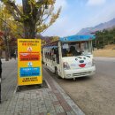 문경큰사람마을 | 가을 낭만 가득! 문경새재 단풍터널 &amp; 오픈세트장 여행 후기