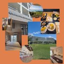 11 | [미야코지마 호텔 추천] 도큐호텔 vs 아파트먼트11 실제 후기