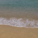바리스타(카페메뉴) | 주문진] 1세대 바리스타 박이추의 보헤미안박이추커피본점 카페 솔직후기(추천메뉴,웨이팅,주차정보 등)