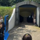 하나농축산 | 서울숲 수도박물관 전시해설 후기 (ft. 한여름 관람후기, 비누만들기체험, 키링만들기 )