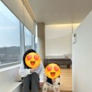 정주의뜰