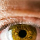 투데이 안경·콘택트 이미지