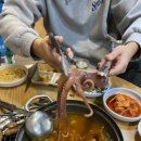 화산곰장어 이미지