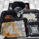 카츠냥 | 계양구배달😎맛집 계양구돈까스🍱 "카츠냥" 치즈카츠 포장 후기