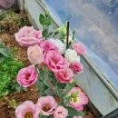 좋은날만 이미지