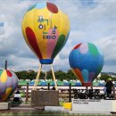 경북영주 풍기인삼축제 이미지