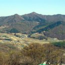 홍이주 카카오 검색결과