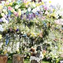 가든플라워 | 요코하마 아카렌카창고 이벤트 : 플라워 가든 &amp; 토마토 체험 후기