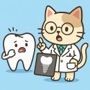 서울한스치과의원 이미지