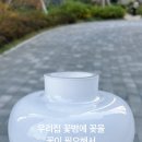 투웰브바스켓