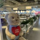 이케아 광명점 레스토랑 후기｜추천 메뉴, 이용방법 총정리
