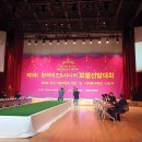 더뉴스코리아